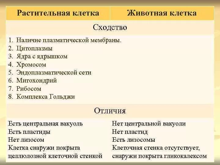 Клетка сходство различия животная растительная. Сходство и различие пластид растительной клетки. Сходства растительных и животных клеток. Сходное строение клеток растений и животных таблица. Сходства и различия животных и растительных клеток таблица.