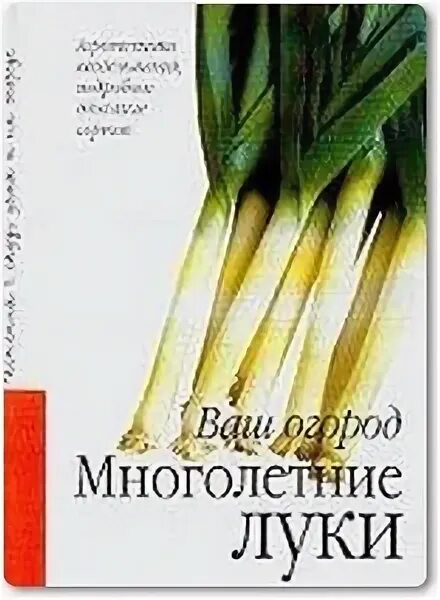 Лето и арбалеты аким апачев обложка. Книга про лук. Книга про луковицу. Книг луки. Книги лук от недуг.