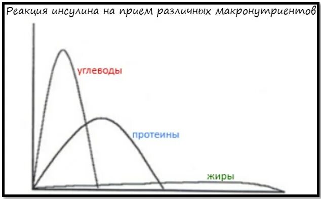 Инсулин в течении дня. Реакции инсулина. График выработки инсулина. Графики выброса инсулина. График всплеска инсулина.