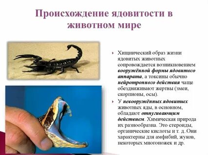 Происхождение ядов