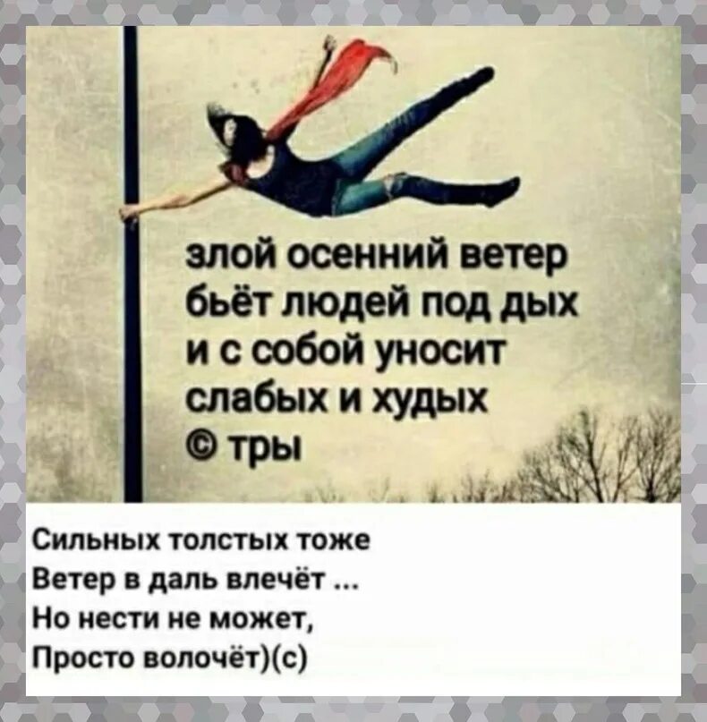 Которые не несут с собой. Которые не несут с собой
