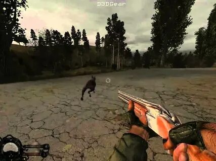 Сталкер эхо чернобыля 2