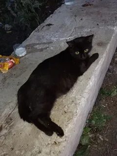 Потерялся черно