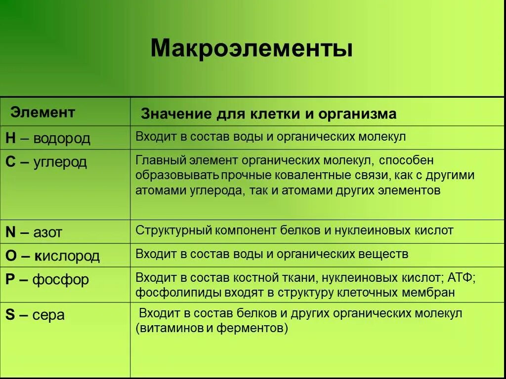 8 то что входит в состав