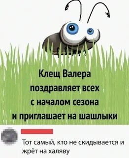 Клещ валера