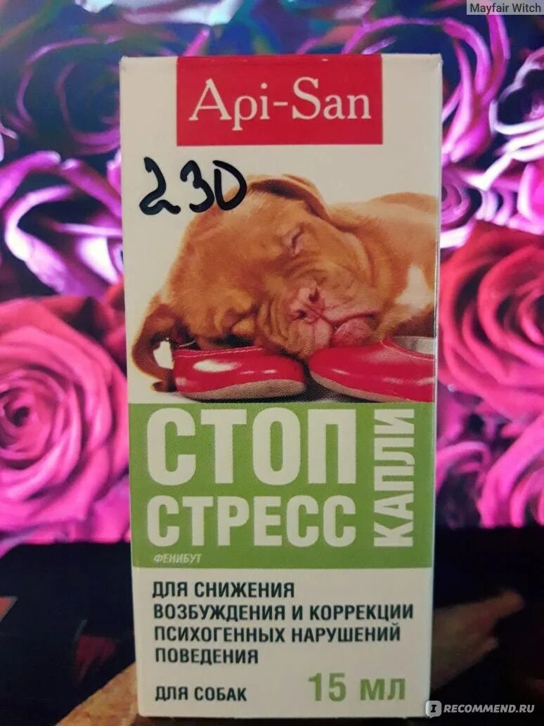 Успокоительные для собак крупных. Успокоительное средство для собак. сильное успокоительное для собак. успокоительное для собак с фенибутом. капли от стресса.