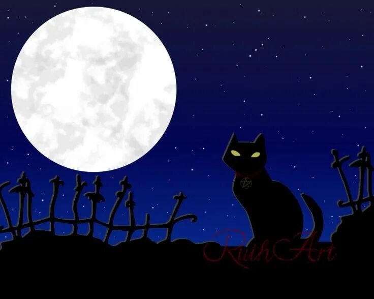 Песни лунный кот. Женщина кошка Луна. Черная кошка и Луна. Кошка с луной пятном. Moonlight кошка.