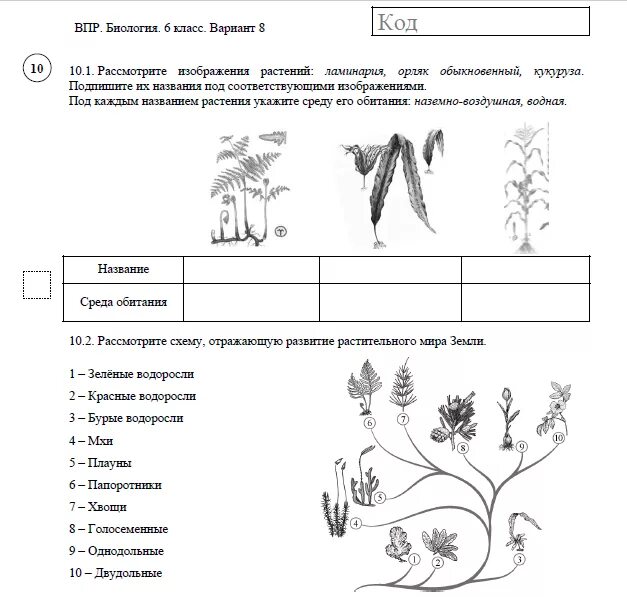 Впр по биологии 8 класс тест. ВПР 6 класс биология задания. Биология 6 класс ВПР 2020 С ответами. Ботанические науки 6 класс ВПР. ВПР по биологии 6 класс 2022 с ответами.