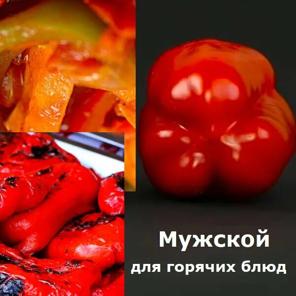 Как определить перец. Перец мужской и женский. перец болгарский женский и мужской. сладкий перец мужской и женский. перец мужской и женский плод.