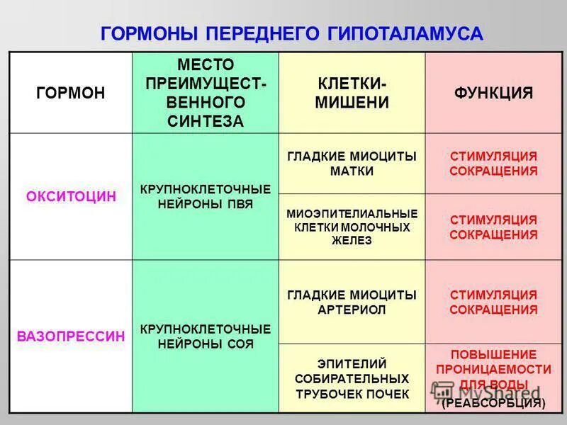 Мишени гормонов функции