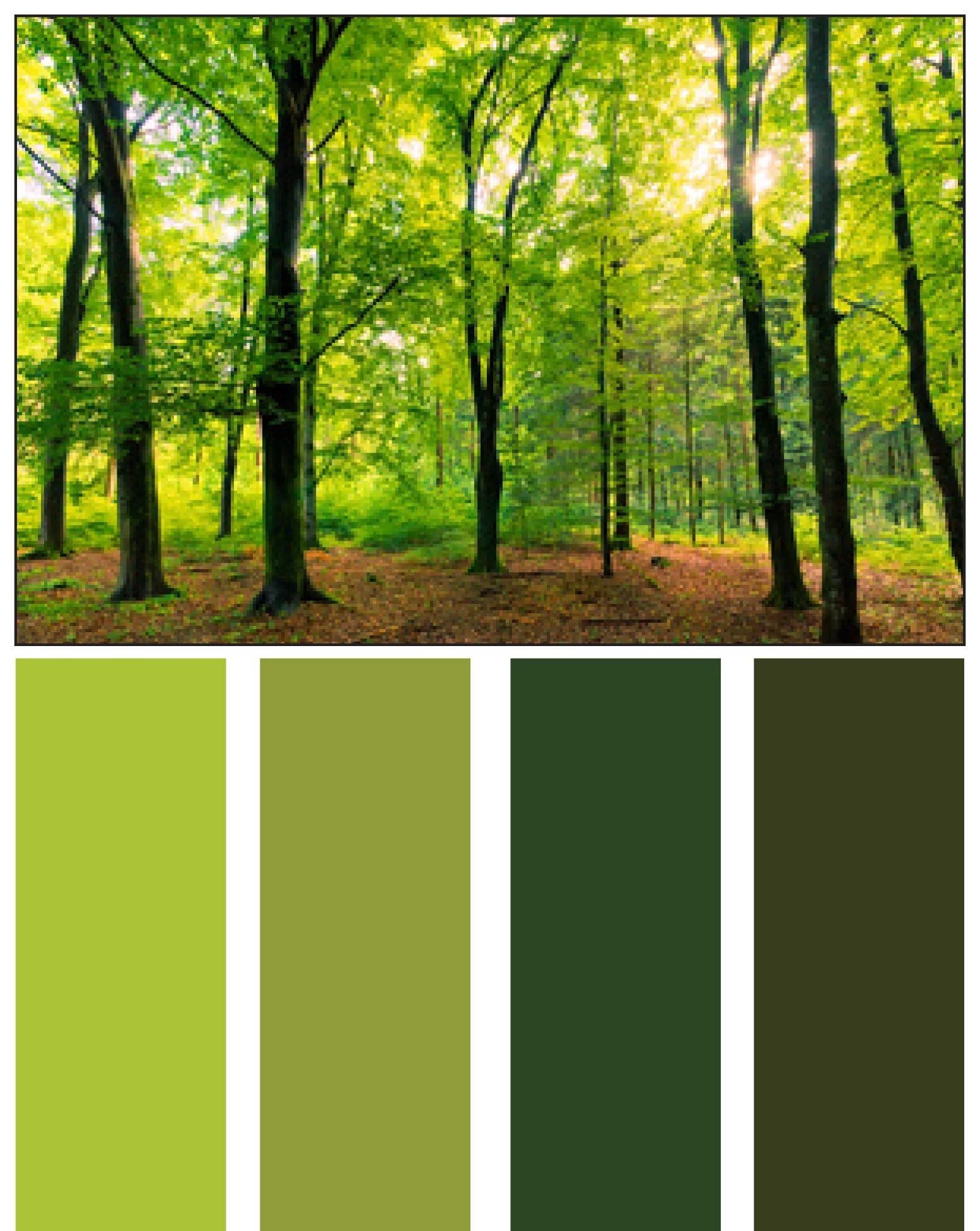 Желтоватый оттенок зеленого цвета. Цветовые сочетания. Цветовая гамма природы. Сочетание цветов в природе. Сочетание с зеленым.