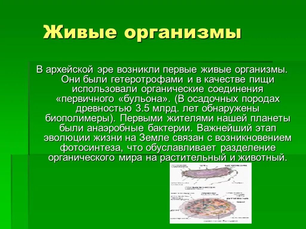 Первые живые организмы использовали