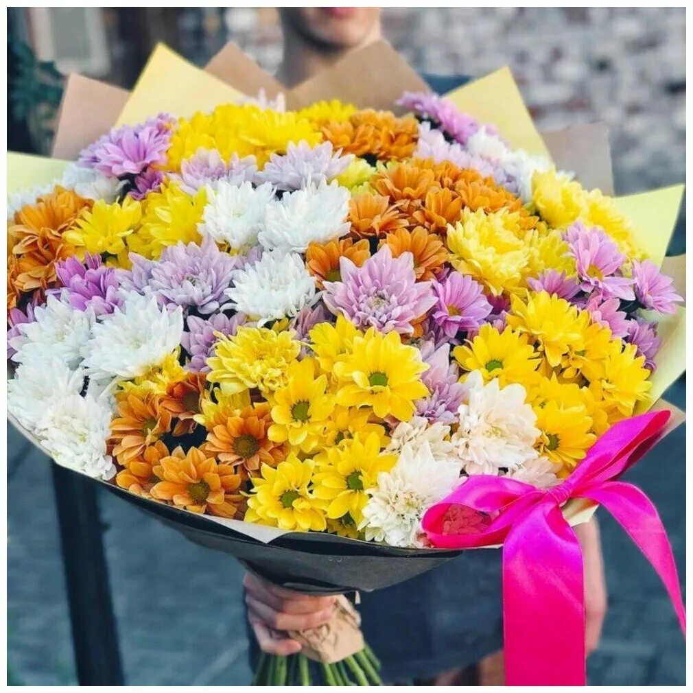 25 желтых одноголовых хризантем букет. 23 хризантемы. Монобукет - хризантема. Букет "кустовые хризантемы". Хризантема сантини ромашка.