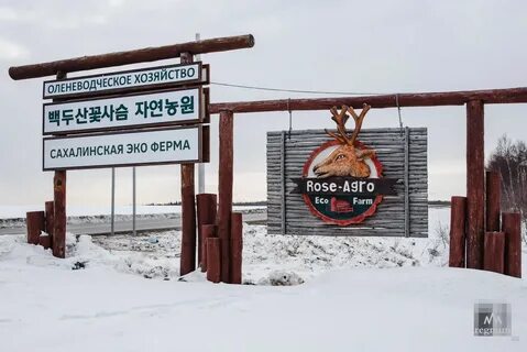 Эко ферма южно сахалинск