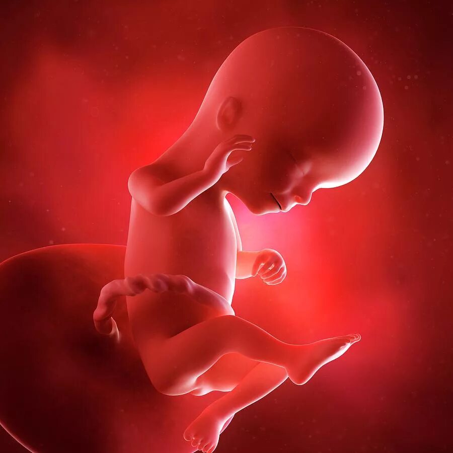 Сериал ребенок эфе. Старшенбаум детям до 16. Девочки 12 лет а лагере. Дитя 16. Девочки в летнем лагере.