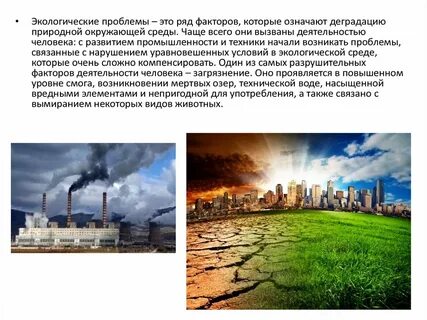 Экологические проблемы связанные с деятельностью человека