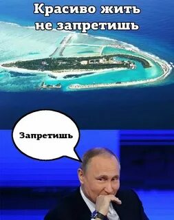 Не живущая сети