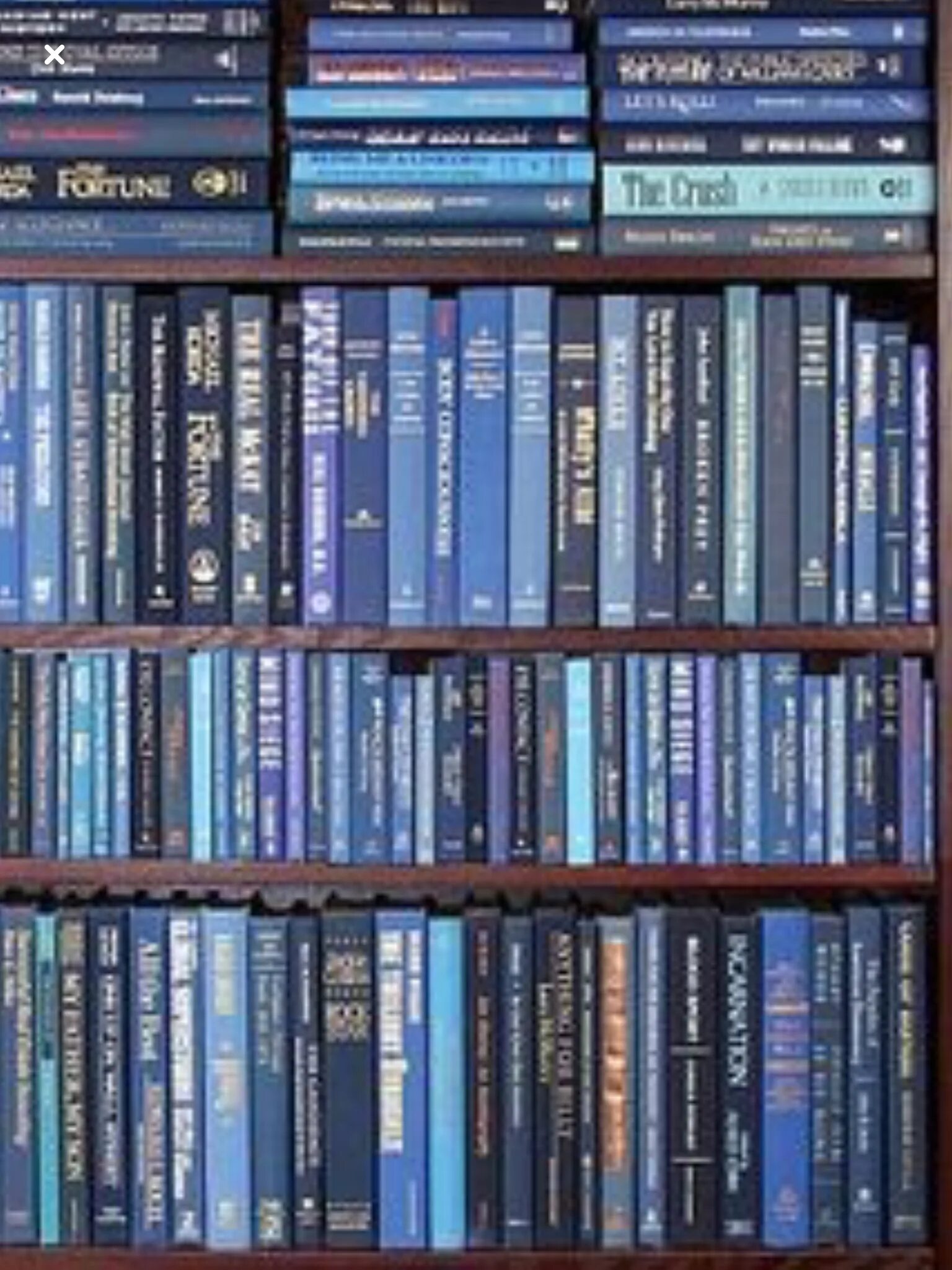 Читать книгу синий