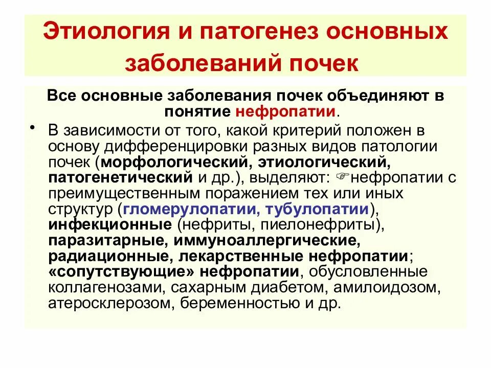 Общее заболевание почек. Этиология заболеваний почек. Этиология и патогенез заболеваний. Патогенез болезней почек. Патогенез заболеваний почек.