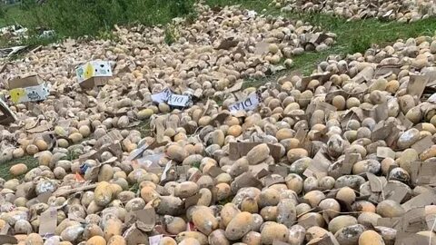 Тонна некоторый