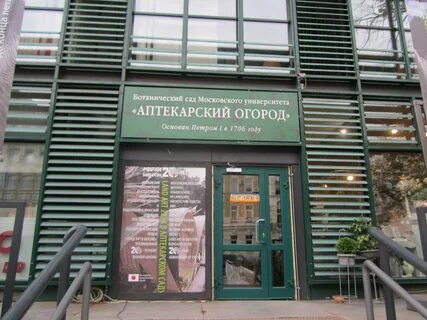 Часы работы аптекарского