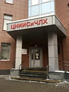 Фгбу цниисичлх минздрава