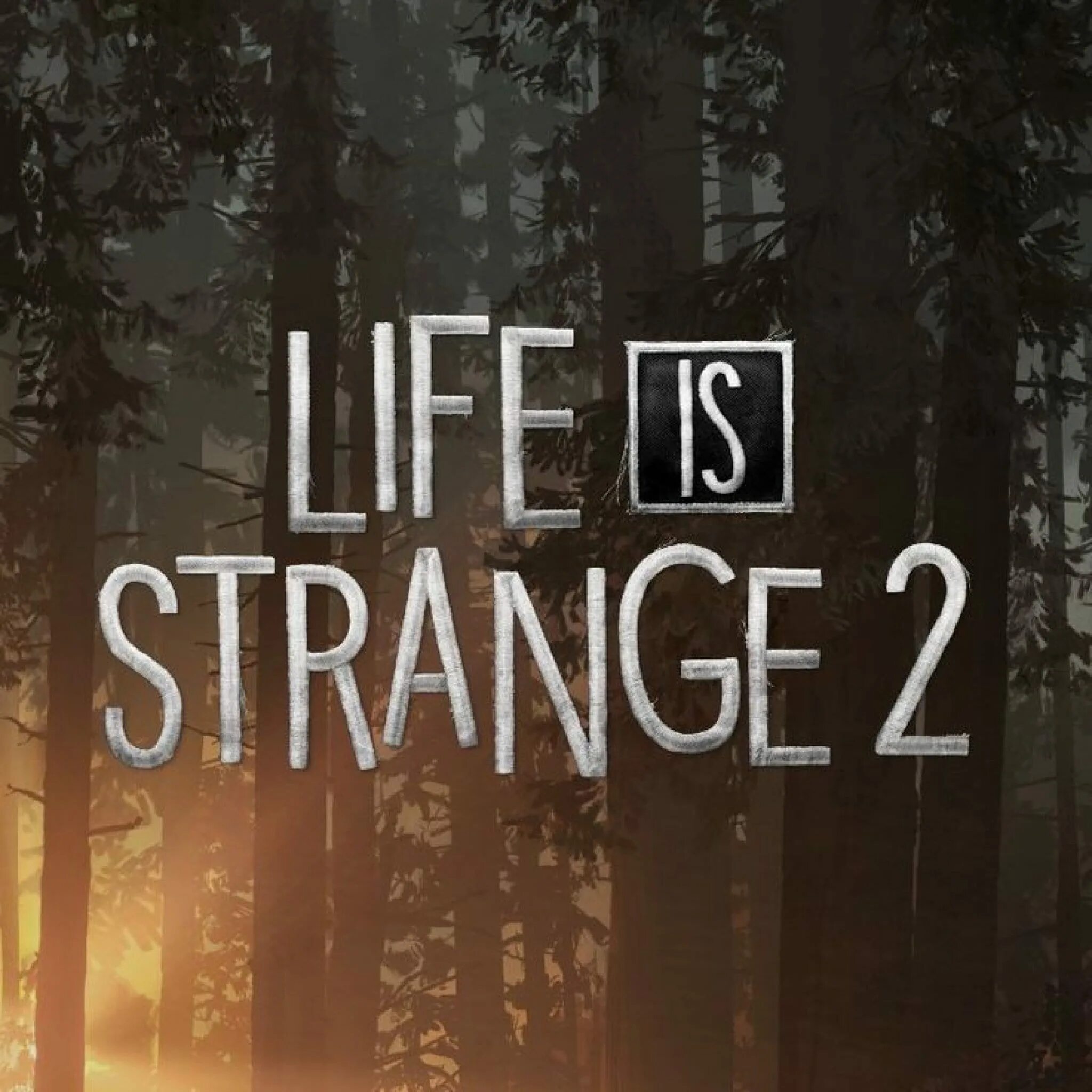 Life is serious. Life is Strange. Life is Strange 2 логотип. Лайв из Стрендж надпись. Life is Strange 2 значки.