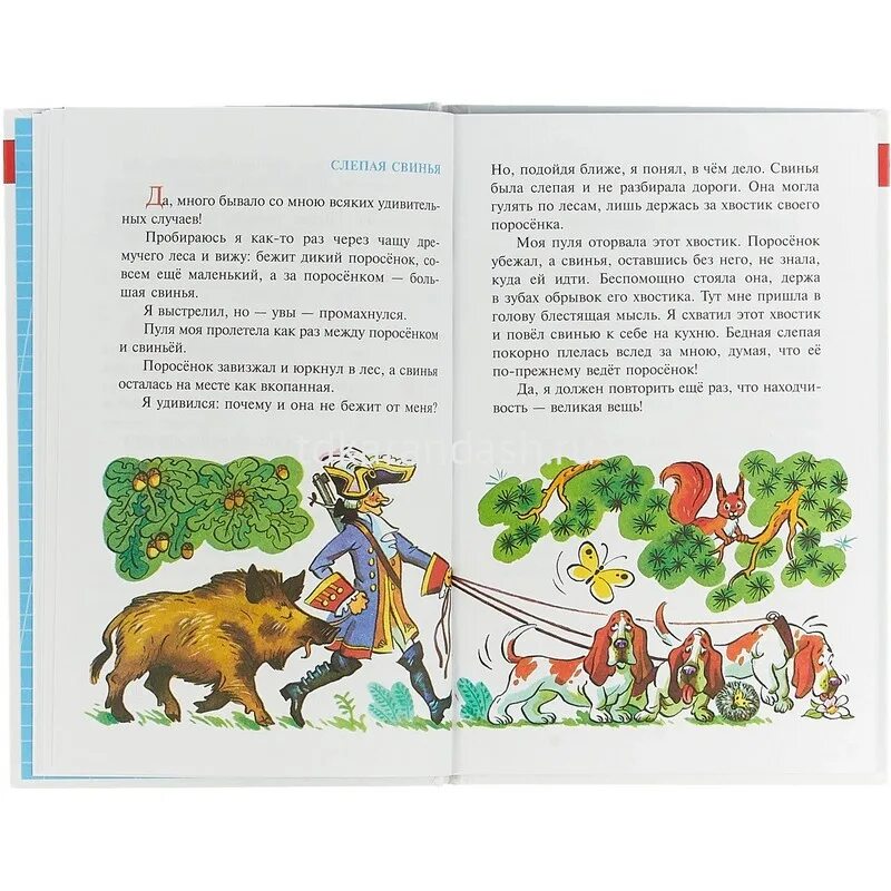 Книга про свекровь. Мюнхгаузен слепая свинья. Читать книгу невестка слепого барона. Книга быть свекровью. Книга про свекровь.