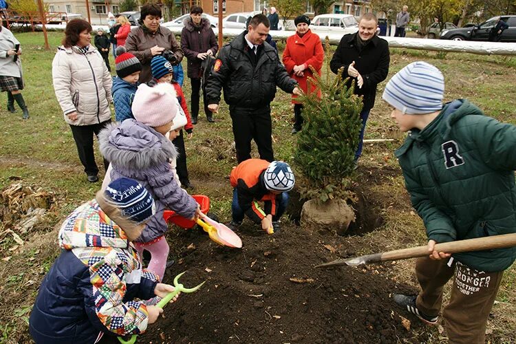 Погода новопокровском районе п новопокровский. Станица Новопокровская Краснодарский край. Казенный сад Новопокровская. Высадка деревьев в парке станицы Северской Краснодарского. Губернатор Новопокровского района.