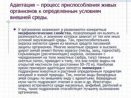 Адаптация детского организма