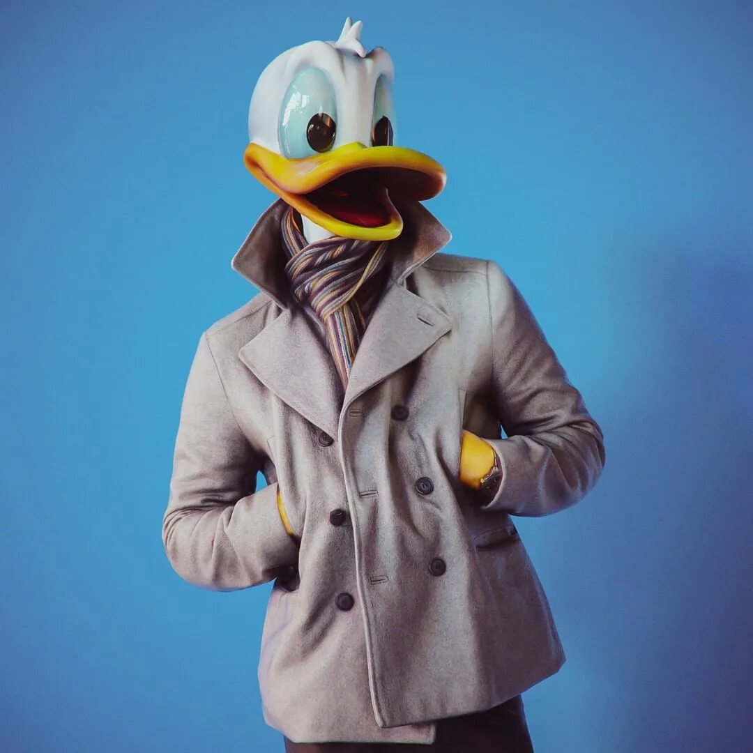 Duck source