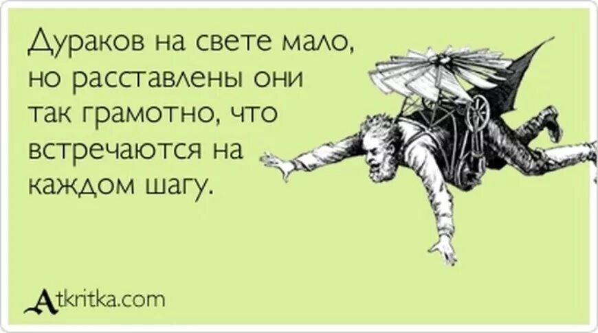 Глупцам нет покоя хонкай