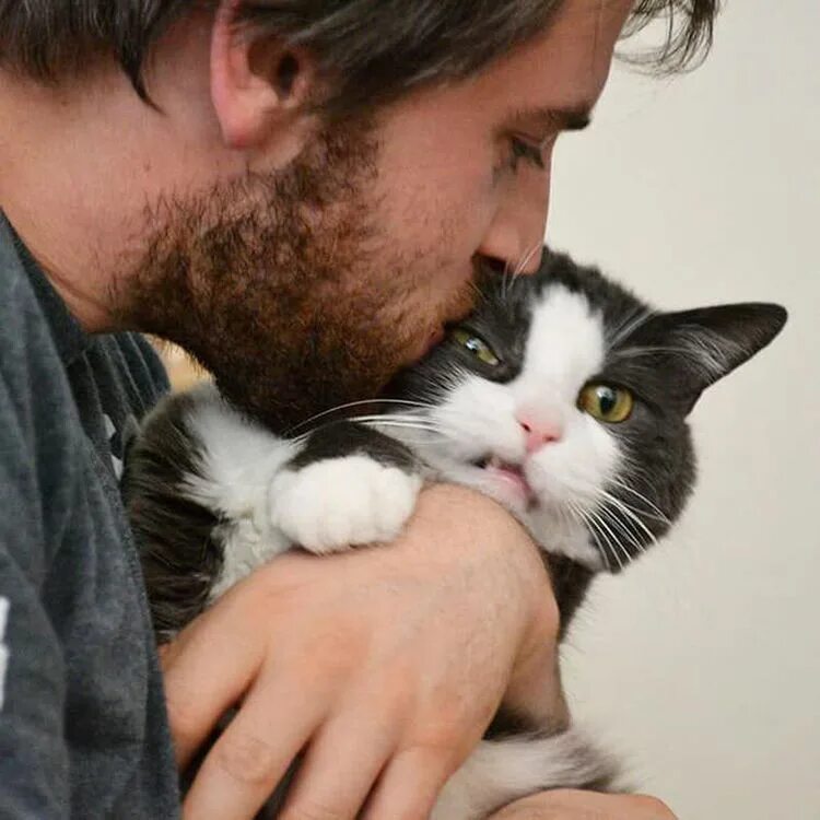 Кот любимый кот парню. Кот обнимает. мужчина обнимает кота. кот целует. коты и хозяева.