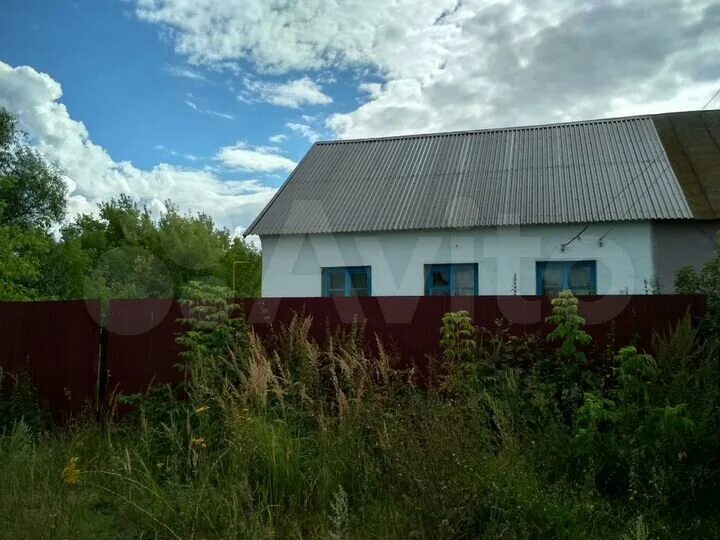 Рязанская область, шиловский р-н, с. Муняково рязанская область. Авито лесной. Деревня мосолово рязанская область. Лесной (рязанская область).