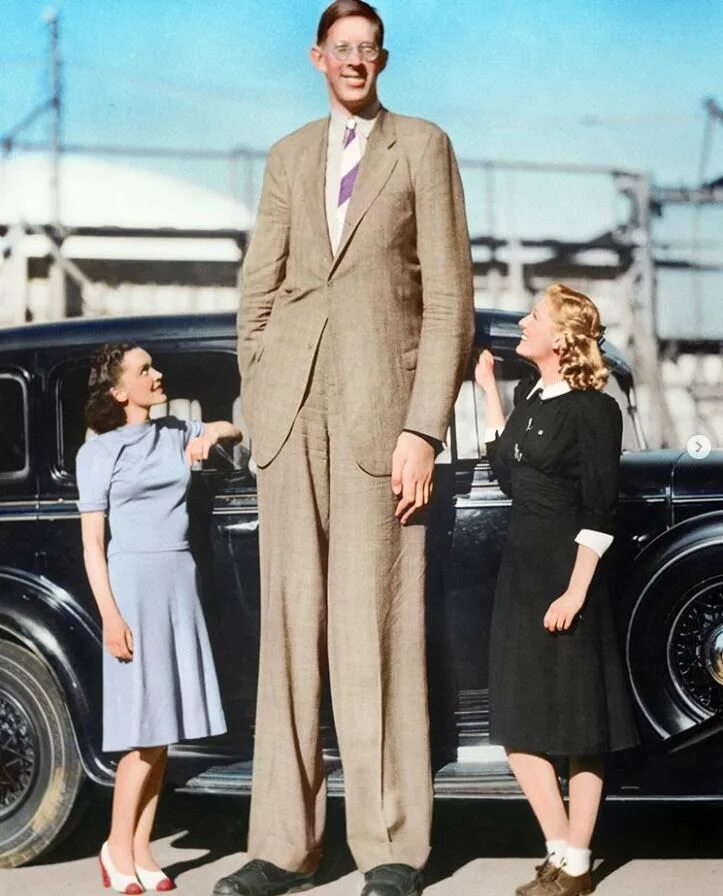 Tall person