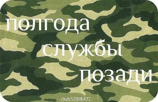 После полугода службы