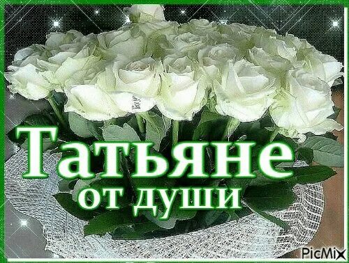 Привет белые розы
