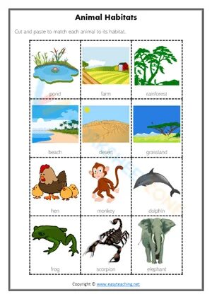 We should animals habitats. Animal Habitats. Habitat для детей на английском. Animal Habitats Worksheets for Kids. Habitats Worksheets for Kids River Land Forest.