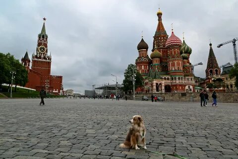 Про красную площадь