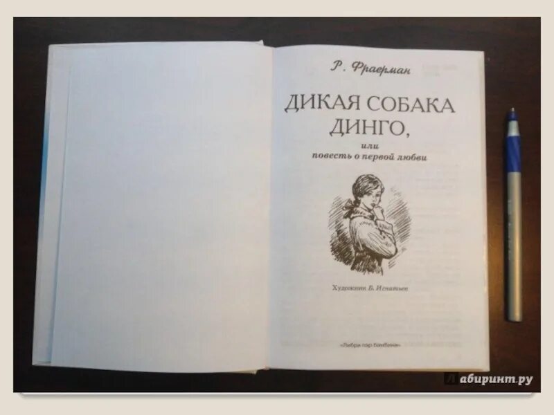 Дикая собака динго краткое содержание 1 глава. Дикая собака динго, или повесть о первой любви. дикая собака динго книга. дикая собака динго, или повесть о первой любви книга. рувим фраерман дикая собака динго или повесть о первой любви.