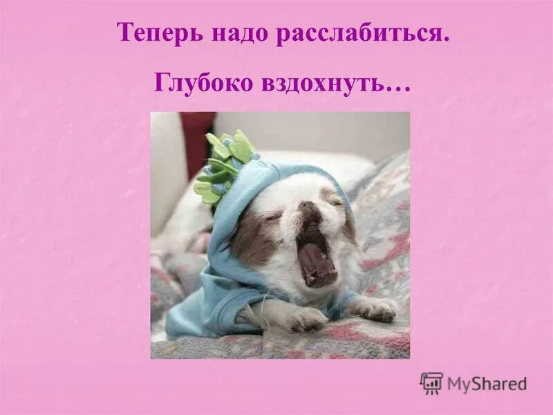 расслабление в ванной. нужно расслабиться. человек на лежаке. нужно расслабиться. да пошло оно все цитаты.