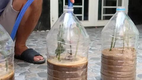 В стеклянную емкость насыпьте песка пластиковую бутылку