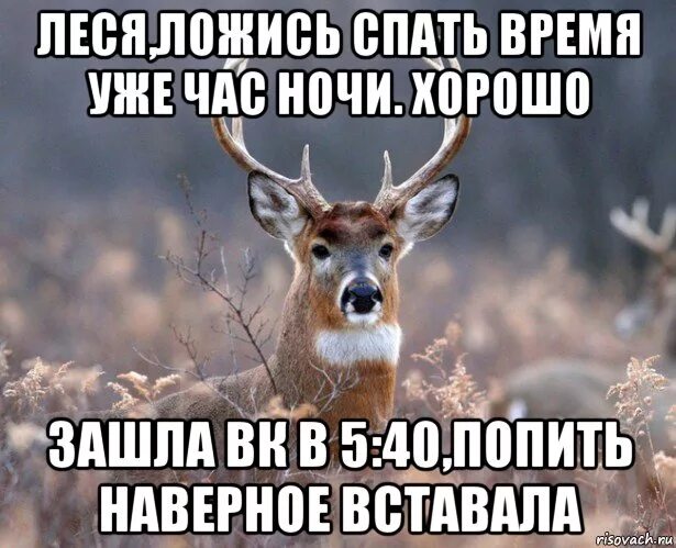 Удачно вошел