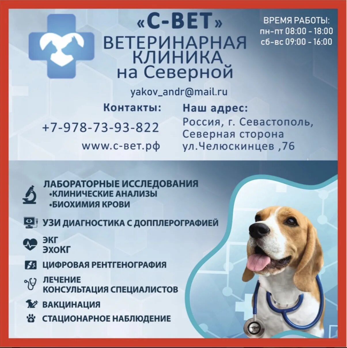 Силавет елец. Ветеринарная клиника елец. ветеринарная клиника севастополь на северной стороне. ветеринарная клиника силавет. визитка ветеринара.