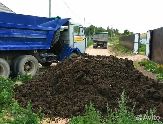 Сколько стоит машина навоза. Навоз коровий КАМАЗ. ЗИЛ выгружает чернозем. КАМАЗ С навозом. Чернозем самосвал.