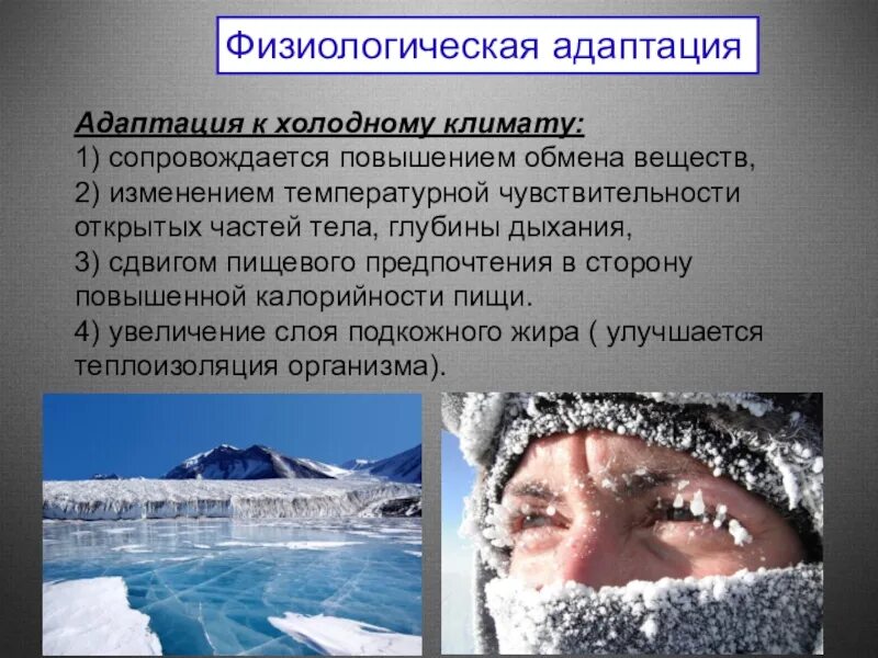 Адаптация человека к холоду. Адаптация к холодному климату. Адаптация человека к холодному климату. Физиологическая адаптация человека. Особенности питания в условиях экстремального климата