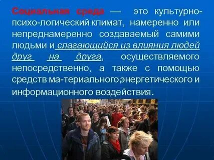 Социальная среда презентация
