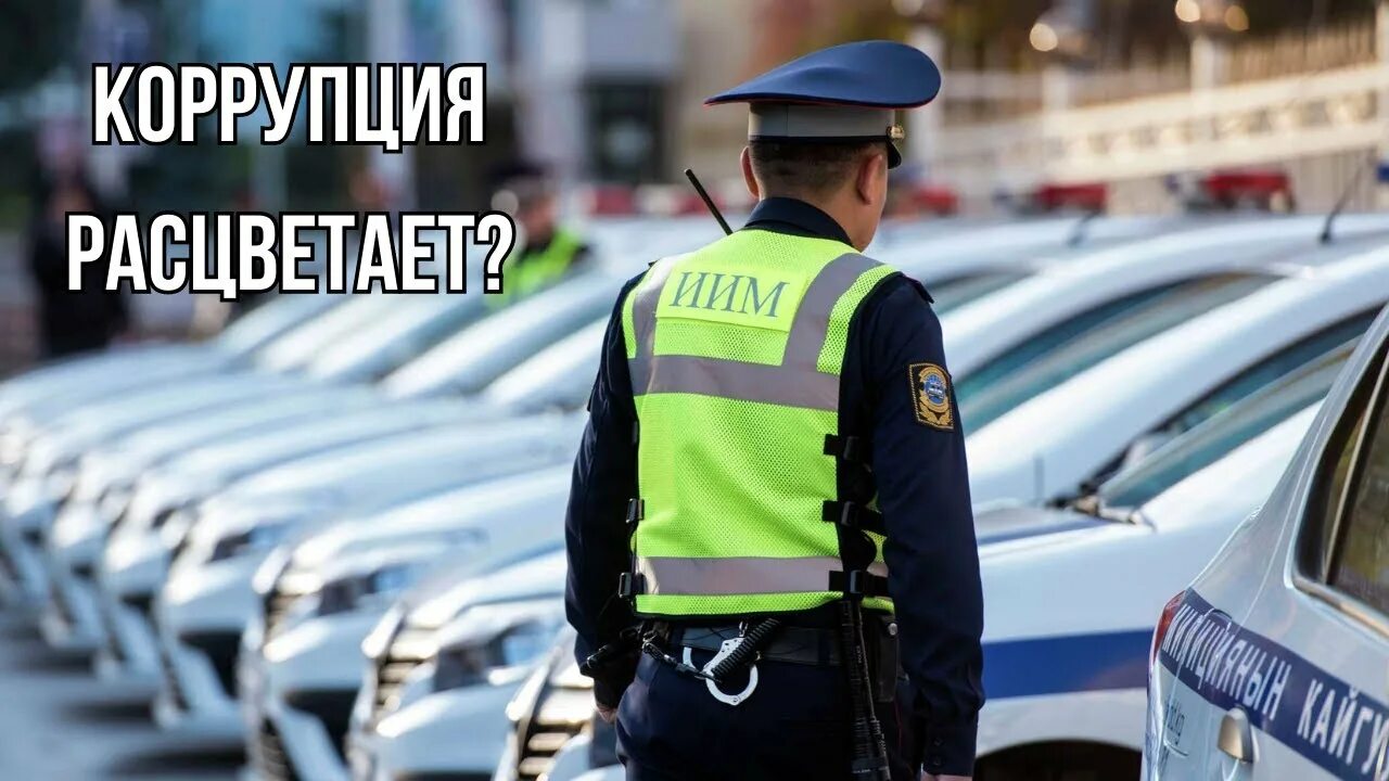 Ппс нарушение пдд