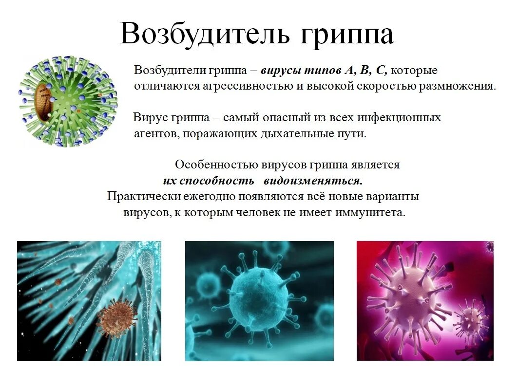 Возбудители вирусных респираторных инфекций гриппа ОРВИ. Вирус гриппа возбудитель. Типы возбудителей гриппа. Типы вируса гриппа.