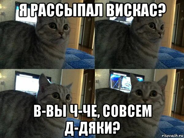Совсем д